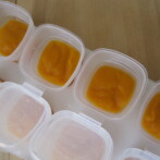 Butternut Squash Puree