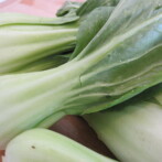 Chinese Baby Bok Choy