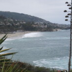 Pear Puree & Laguna Beach