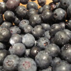 Versatile Blueberry Puree & Gooooooaaal!