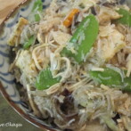 Jai (Buddhas Delight) and Chinese New Year Experiment 2011