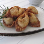 Chinese Wontons