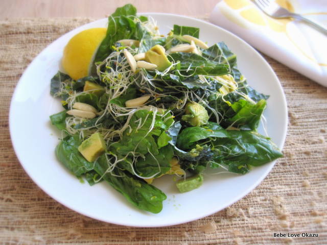 Kale Sprout Avocado Salad - 1a