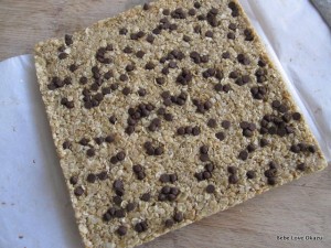 Chewy Chocolate Chip Granola Bar - 5