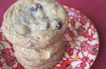 Dried Cranberry & Yogurt Chip Cookies