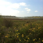 Hiking The Newport Back Bay