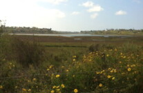 Hiking The Newport Back Bay