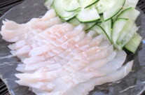 Sashimi