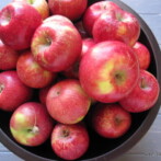 Apple Picking, Simmered Apples & A Quick Tart