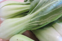 Chinese Baby Bok Choy